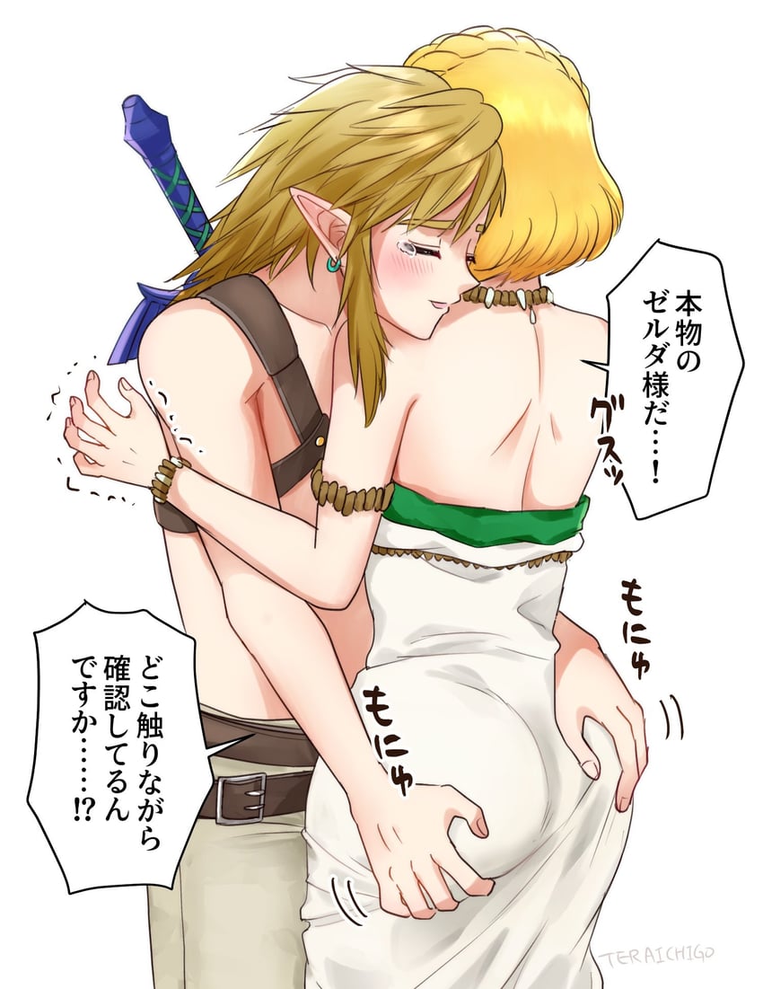 link and princess zelda (the legend of zelda and 1 more) drawn by teraichigo