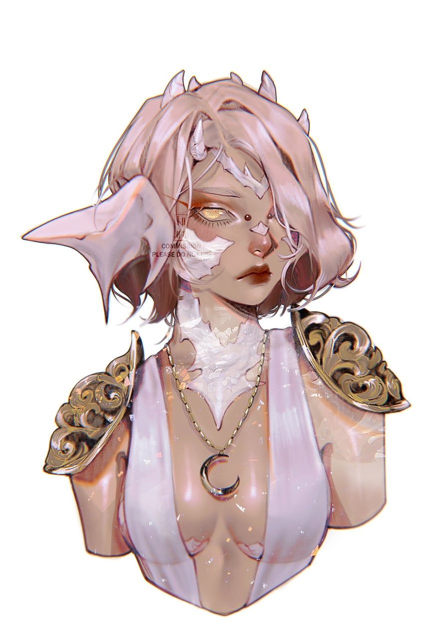 warrior of light (final fantasy and 1 more) drawn by inoaart