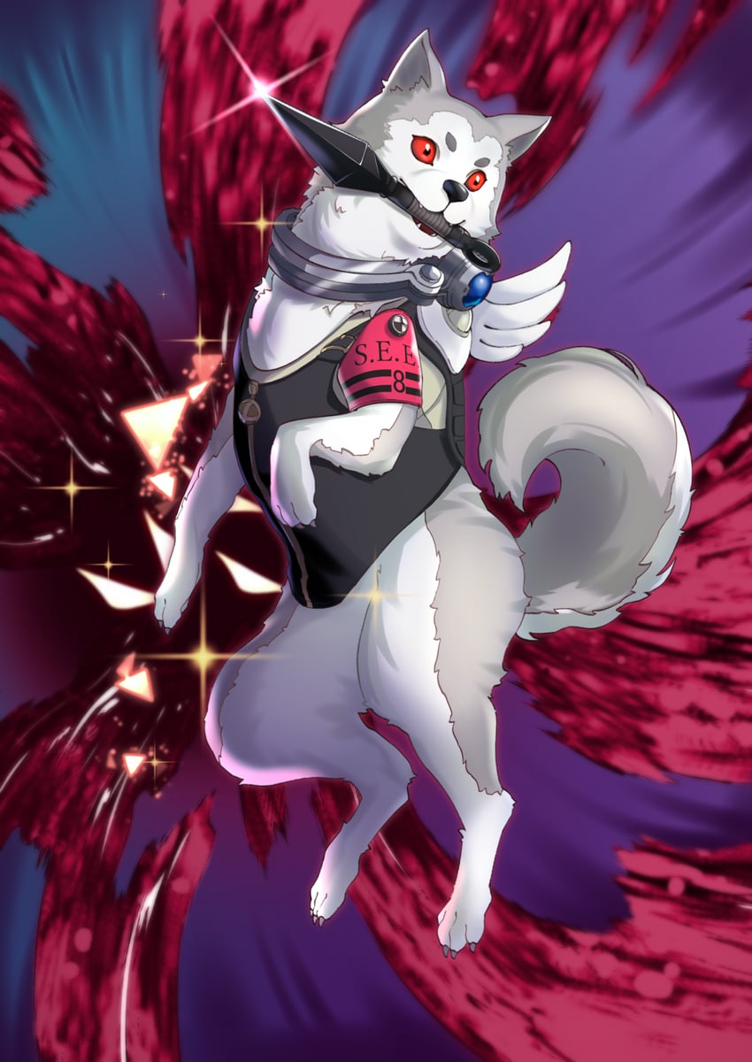 koromaru (persona and 2 more) drawn by bassan7
