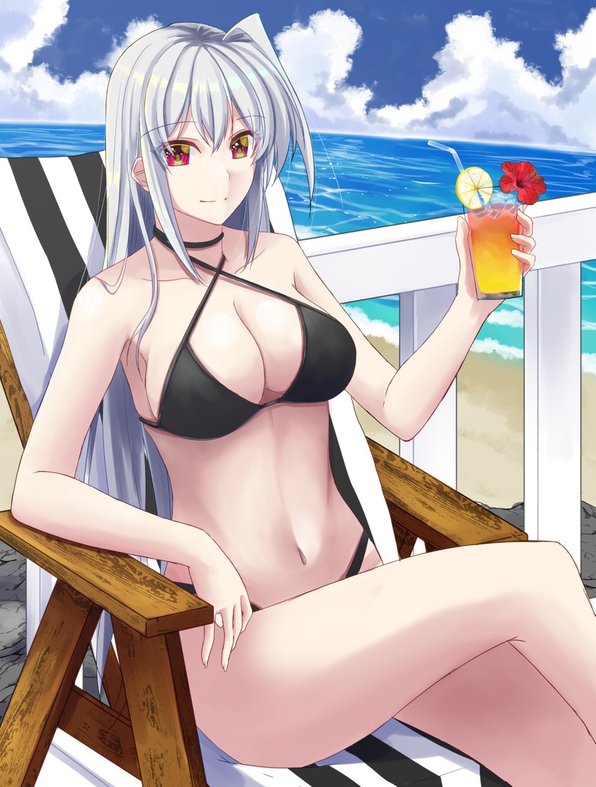 reinforce (lyrical nanoha and 2 more) drawn by sougetsu_izuki