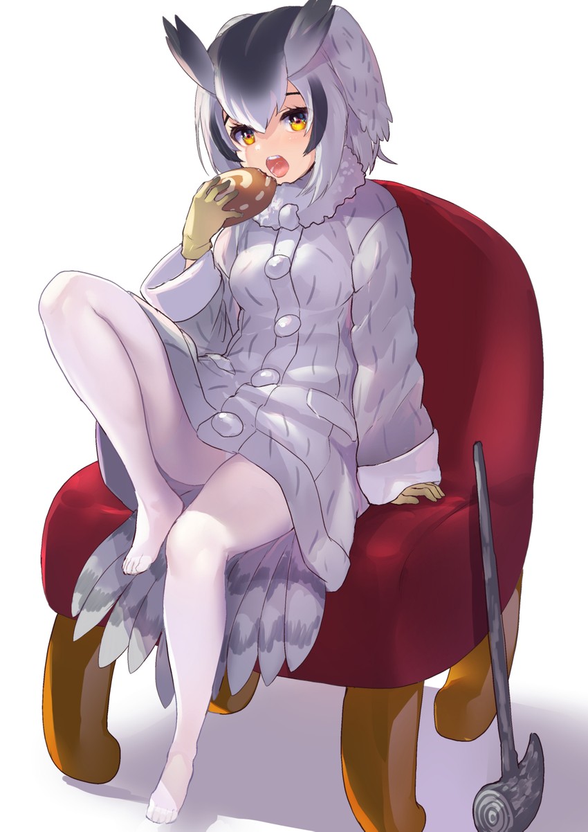 northern white-faced owl (kemono friends) drawn by tadano_magu