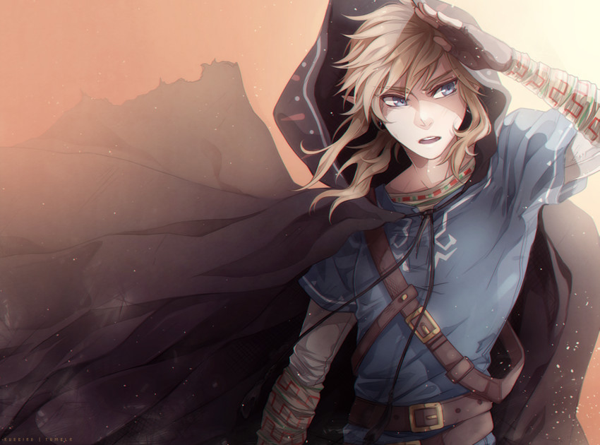 link (the legend of zelda and 1 more) drawn by ruebird