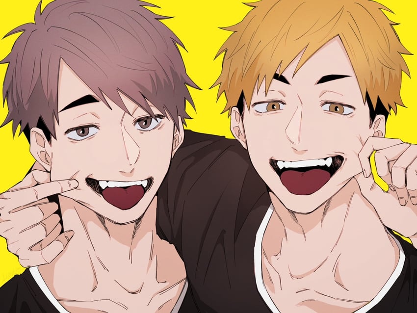 miya atsumu and miya osamu (haikyuu!!) drawn by wavi_savi