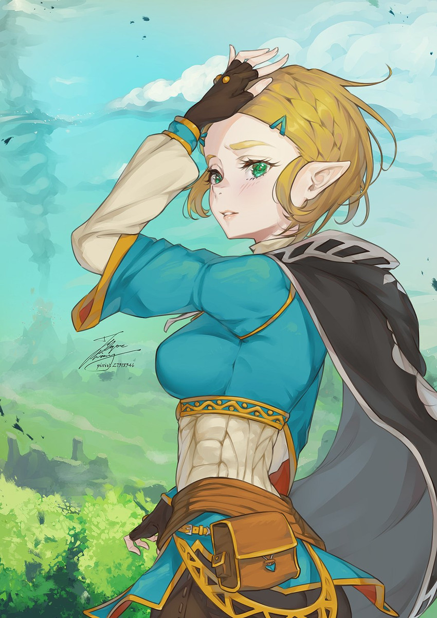 princess zelda (the legend of zelda and 1 more) drawn by fadingz