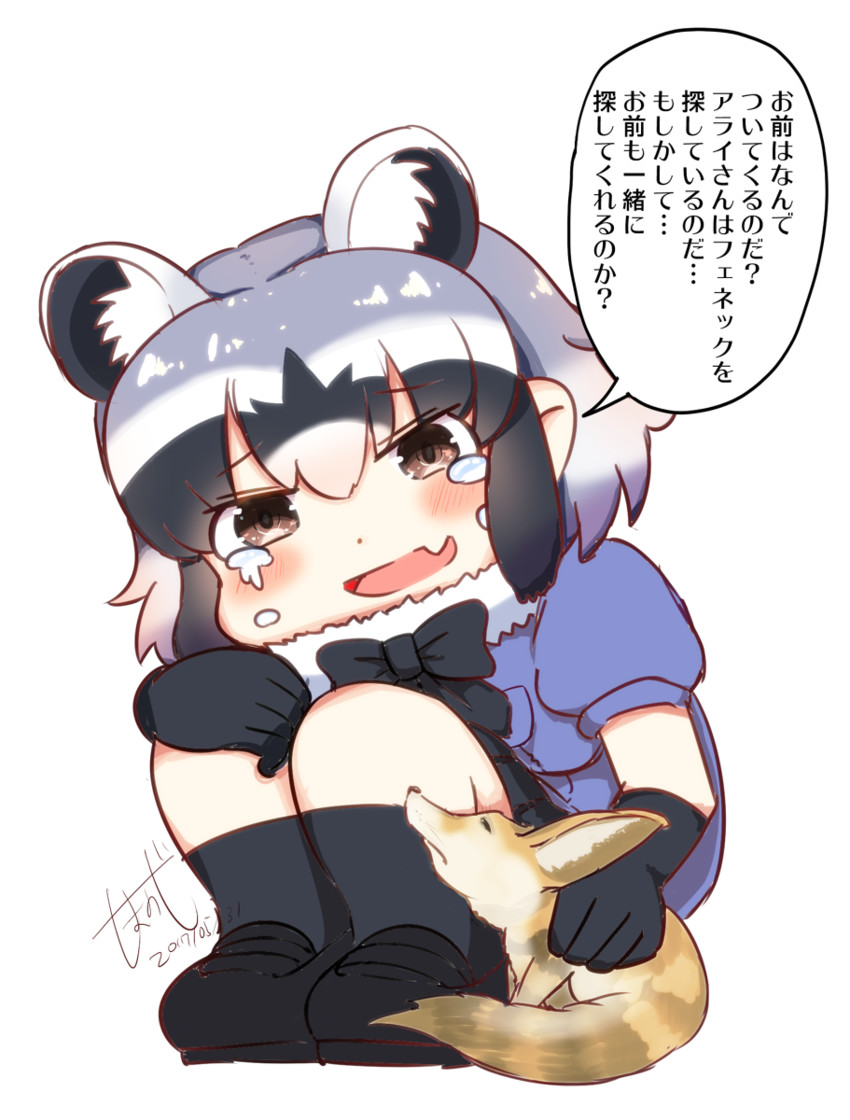 common raccoon (kemono friends) drawn by shimanoji