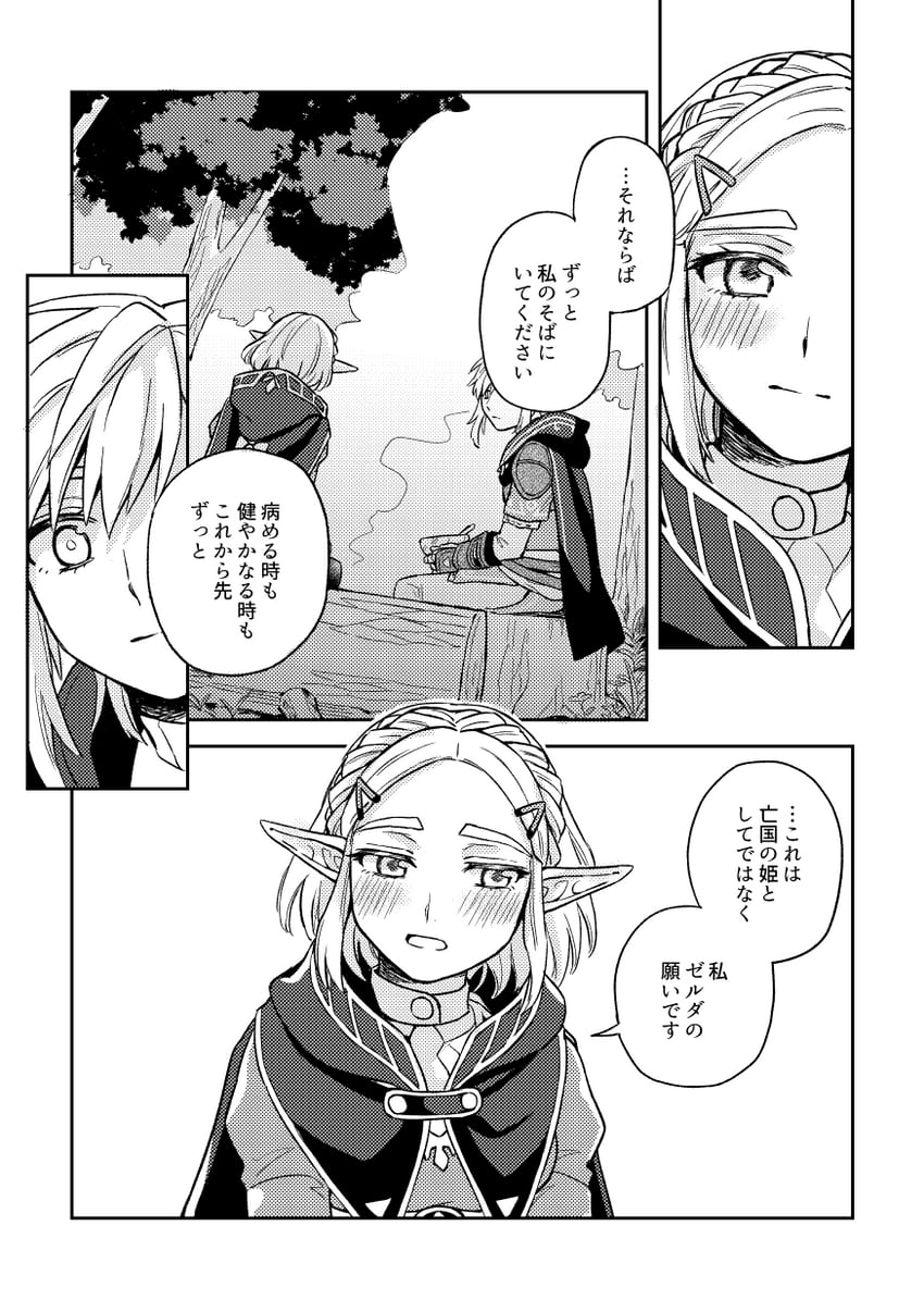 link and princess zelda (the legend of zelda and 1 more) drawn by shijima_(4jima)