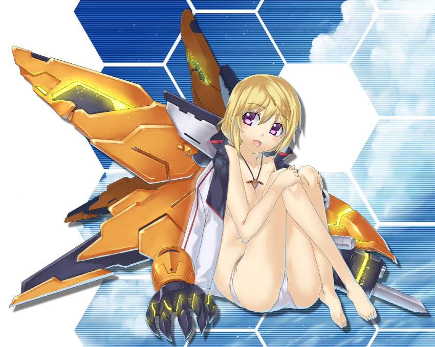 charlotte dunois and rafale revive custom ii (infinite stratos) drawn by uemukai_dai