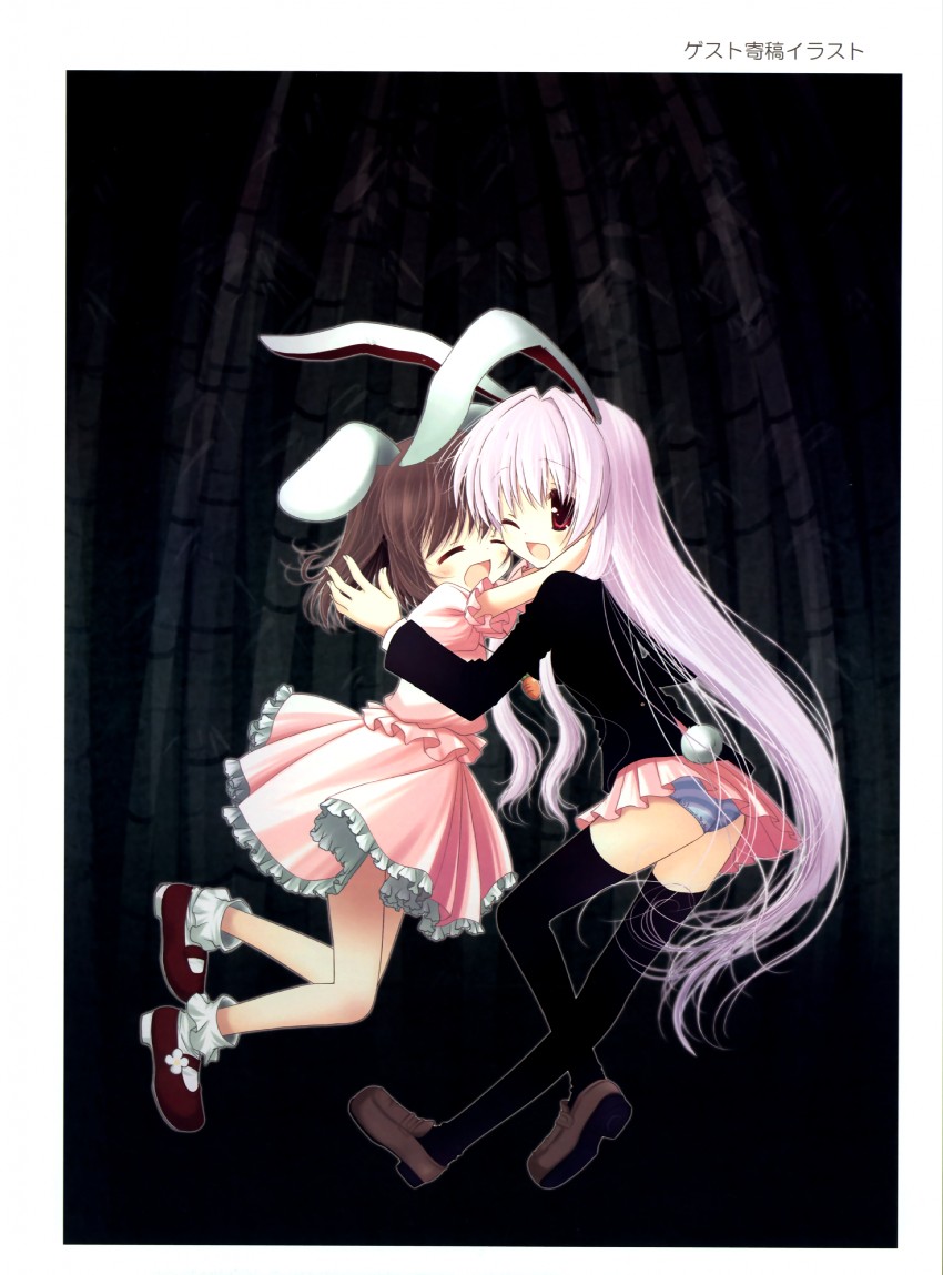 reisen udongein inaba and inaba tewi (touhou) drawn by futaba_miwa