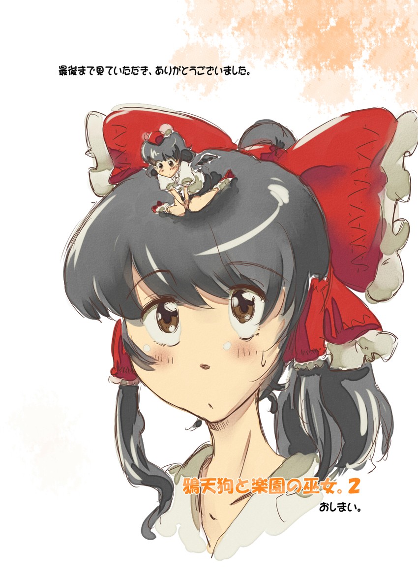 hakurei reimu and shameimaru aya (touhou) drawn by non_(z-art)