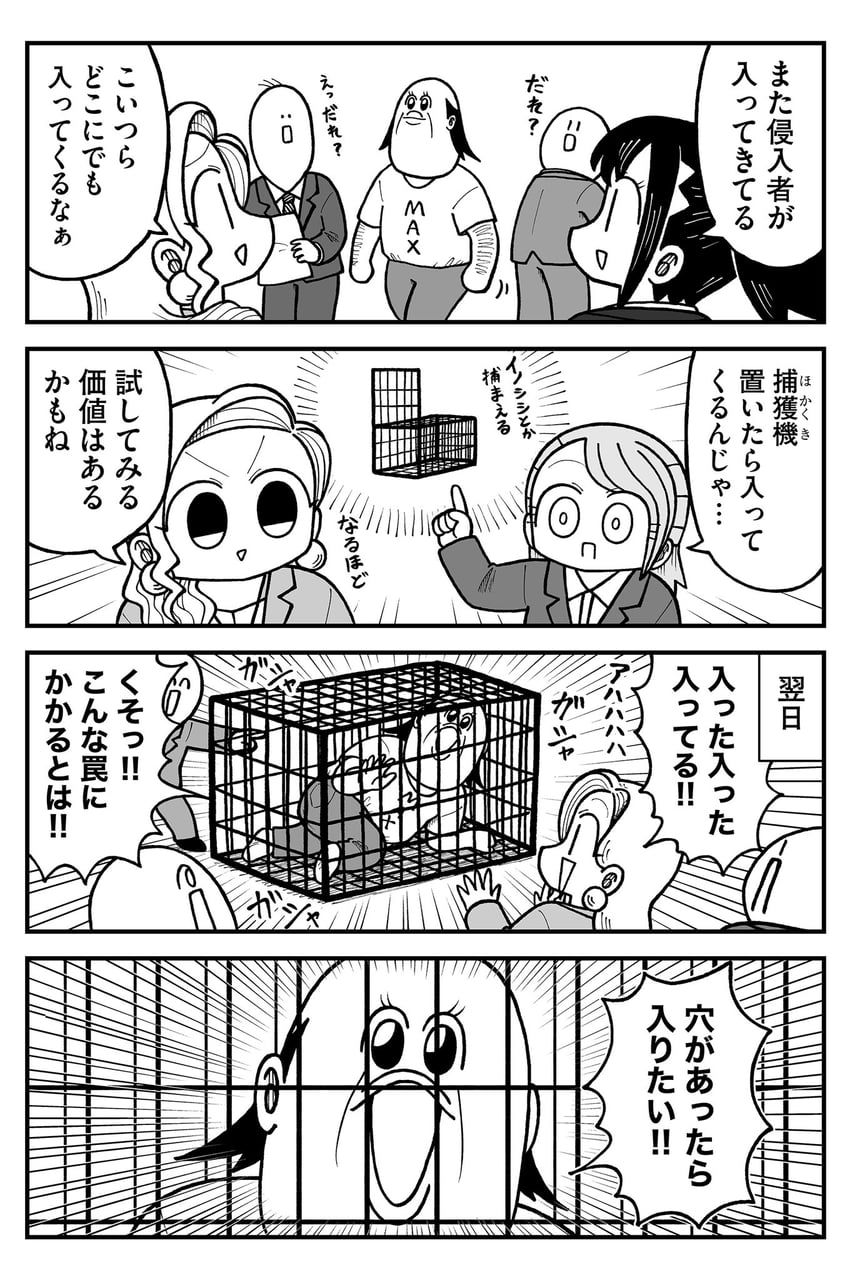 seina, yuu, and narita (kyatapi land) drawn by kyata_ti666