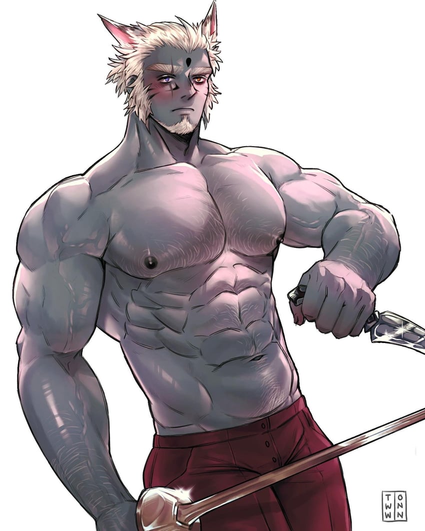 warrior of light (final fantasy and 1 more) drawn by tiowinwin