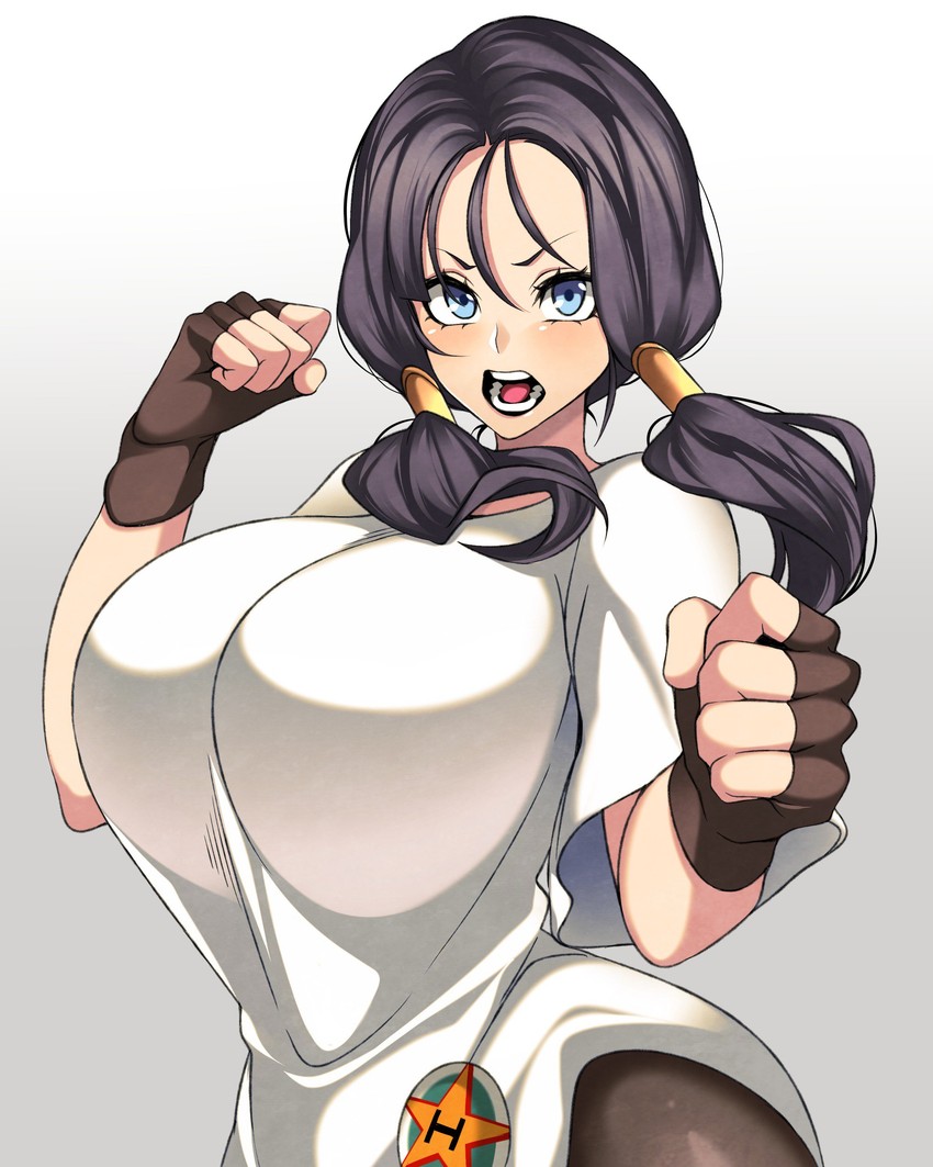 videl (dragon ball and 1 more) drawn by hz_(666v)