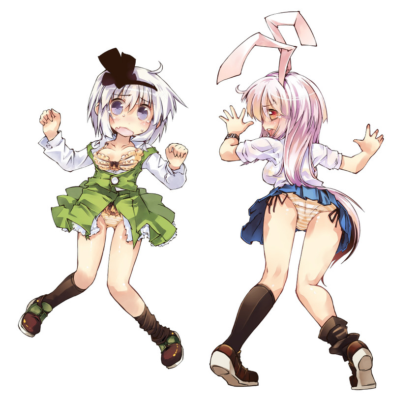 konpaku youmu and reisen udongein inaba (touhou) drawn by nanaroku_(fortress76)