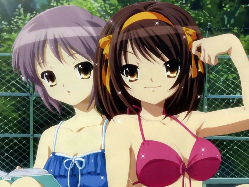 suzumiya haruhi and nagato yuki (suzumiya haruhi no yuuutsu and 1 more) drawn by ikeda_shouko