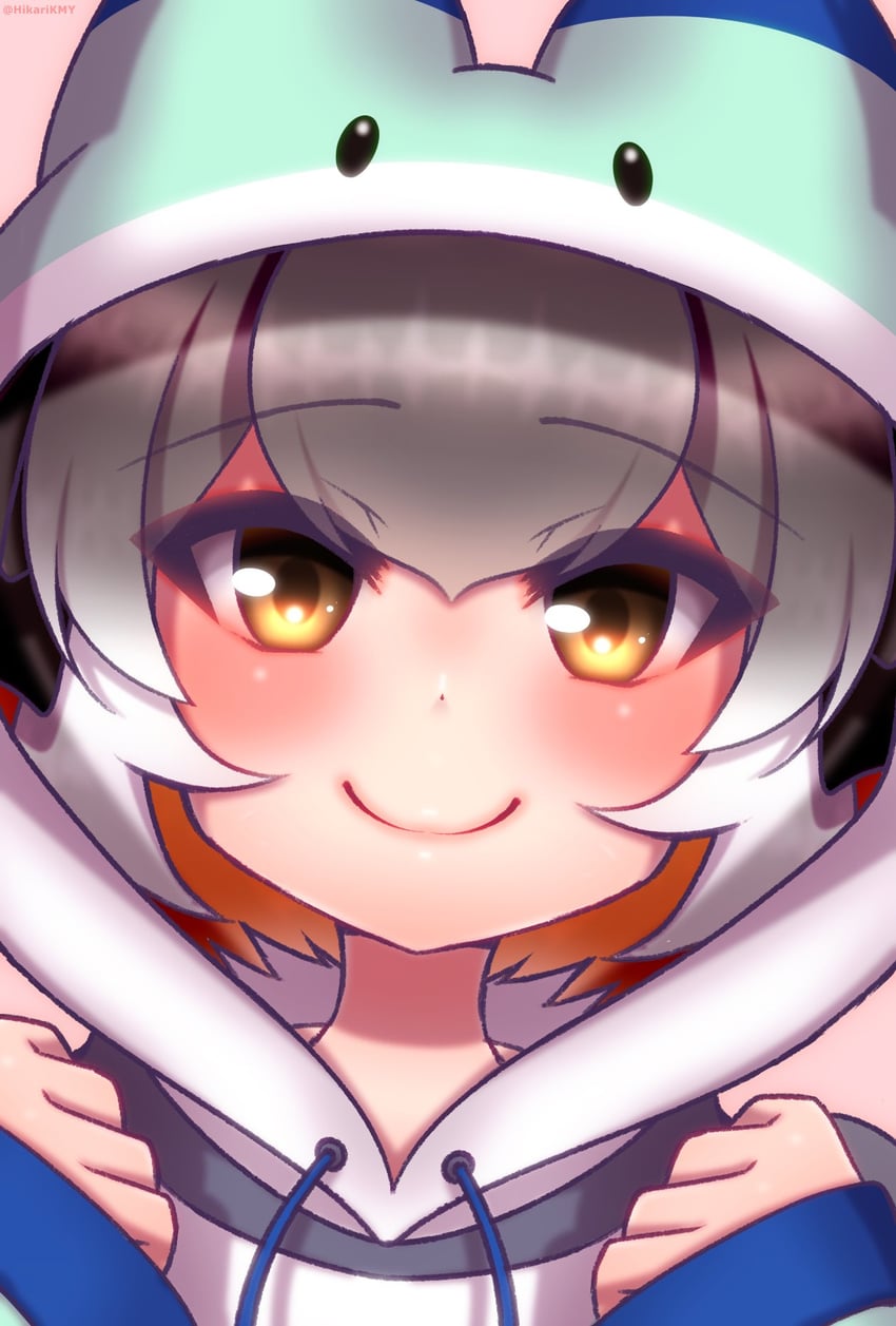 lucky beast and island fox (kemono friends and 1 more) drawn by hikarikmy