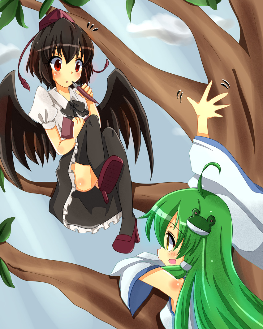 kochiya sanae and shameimaru aya (touhou) drawn by tanikake_yoku