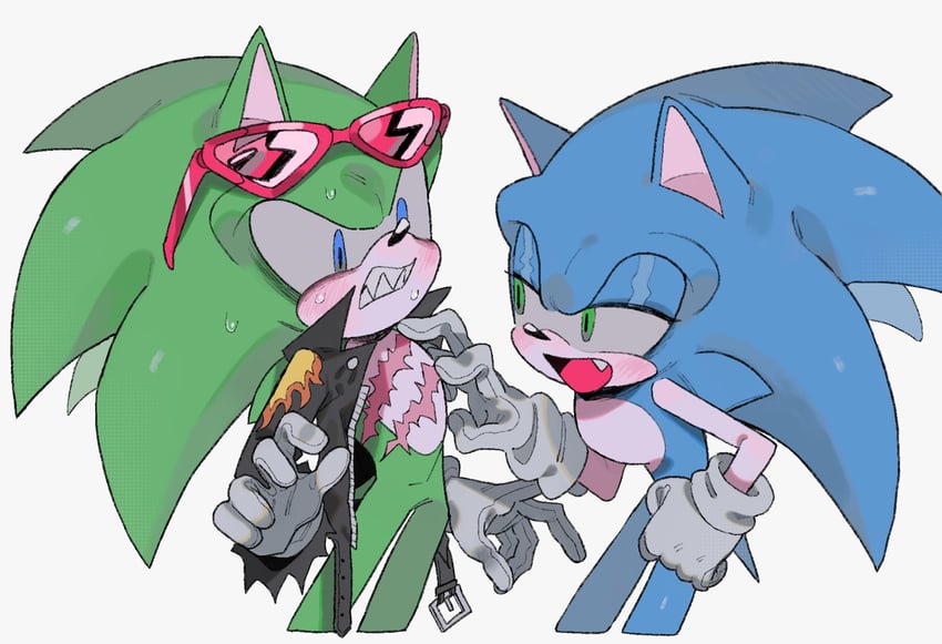 sonic the hedgehog and scourge the hedgehog (sonic and 1 more) drawn by xxxxx0099e