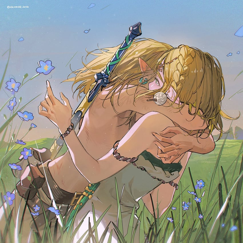 link and princess zelda (the legend of zelda and 1 more) drawn by akihare