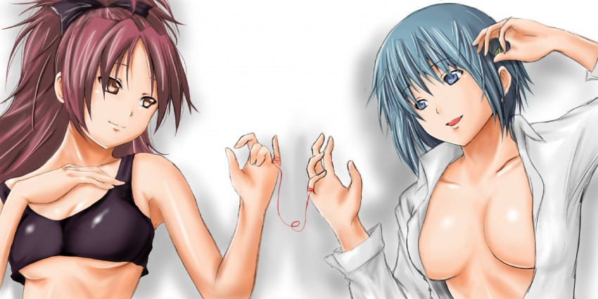 miki sayaka and sakura kyoko (mahou shoujo madoka magica) drawn by samuraichamp