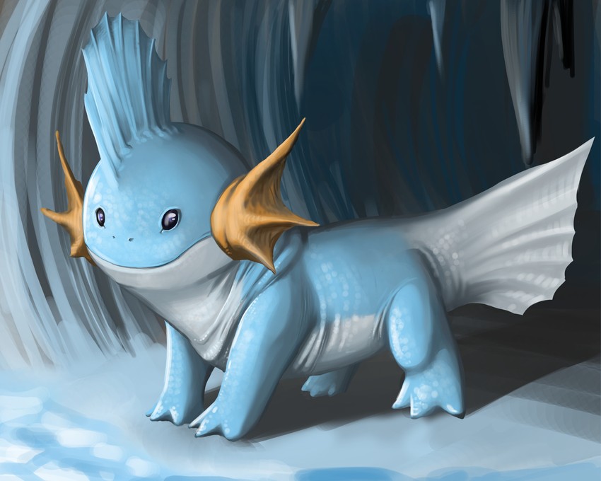 mudkip (pokemon) drawn by duroxas