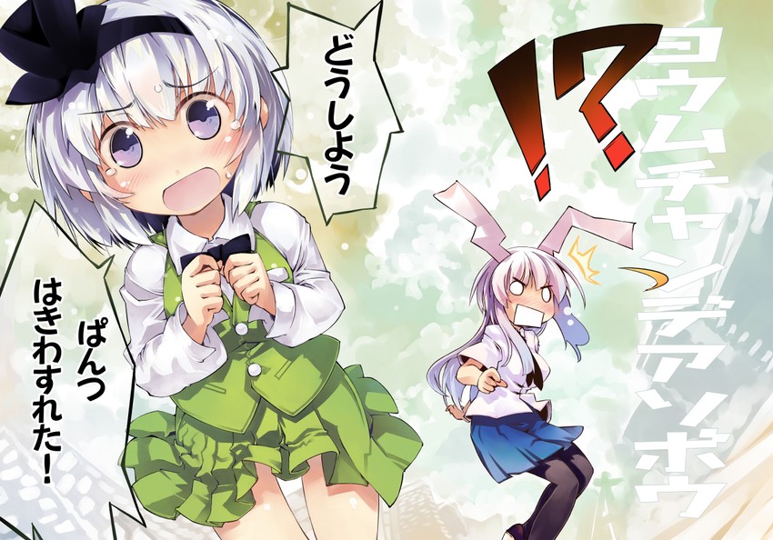 konpaku youmu and reisen udongein inaba (touhou) drawn by nanaroku_(fortress76)