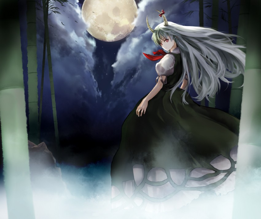 kamishirasawa keine and ex-keine (touhou) drawn by chirigami-san
