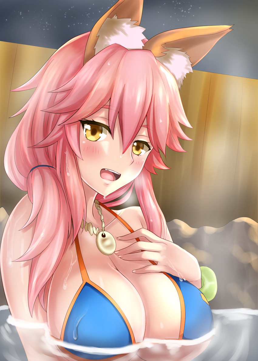 tamamo and tamamo no mae (fate and 3 more) drawn by nagishy