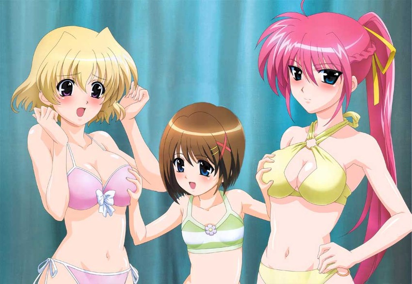yagami hayate, signum, and shamal (lyrical nanoha and 2 more)