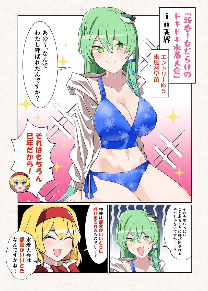 kochiya sanae and alice margatroid (touhou) drawn by sei_(kaien_kien)