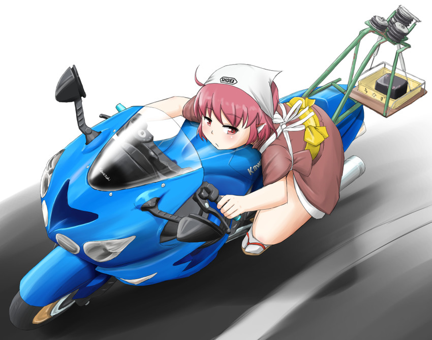 mystia lorelei and okamisty (touhou) drawn by nishishi