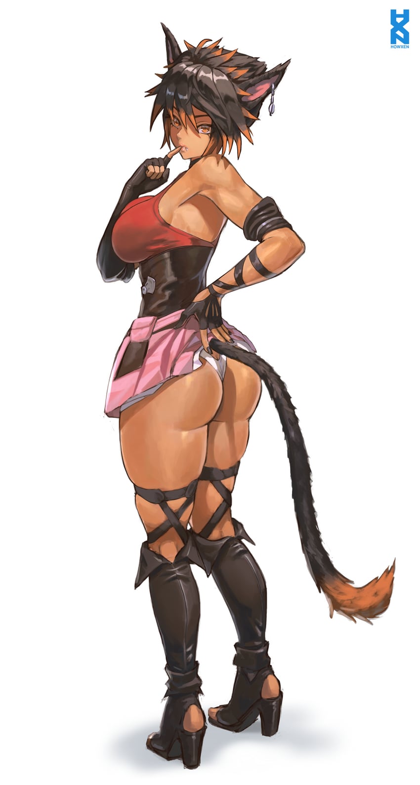 warrior of light (final fantasy and 1 more) drawn by howxen