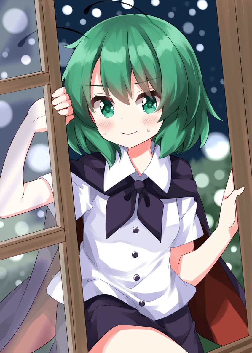 wriggle nightbug (touhou) drawn by ruu_(tksymkw)
