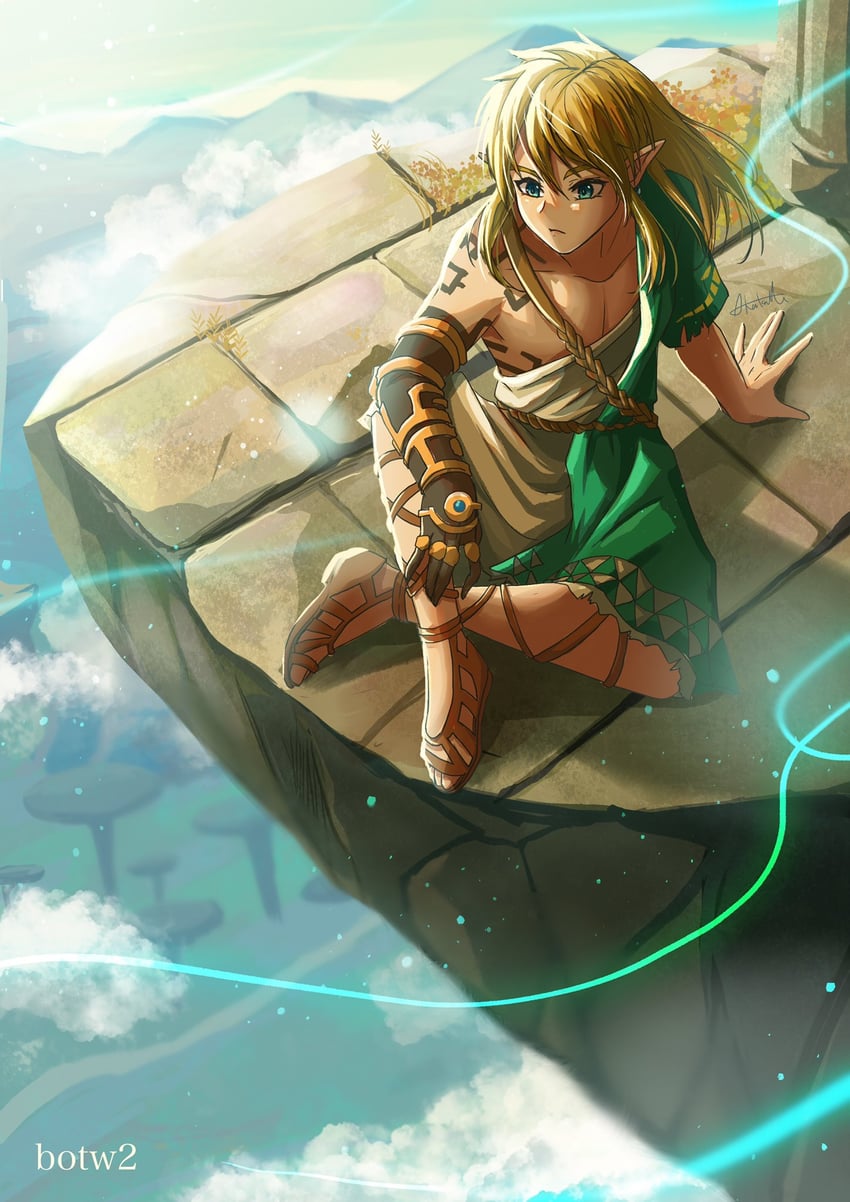 link (the legend of zelda and 1 more) drawn by sakuya_996