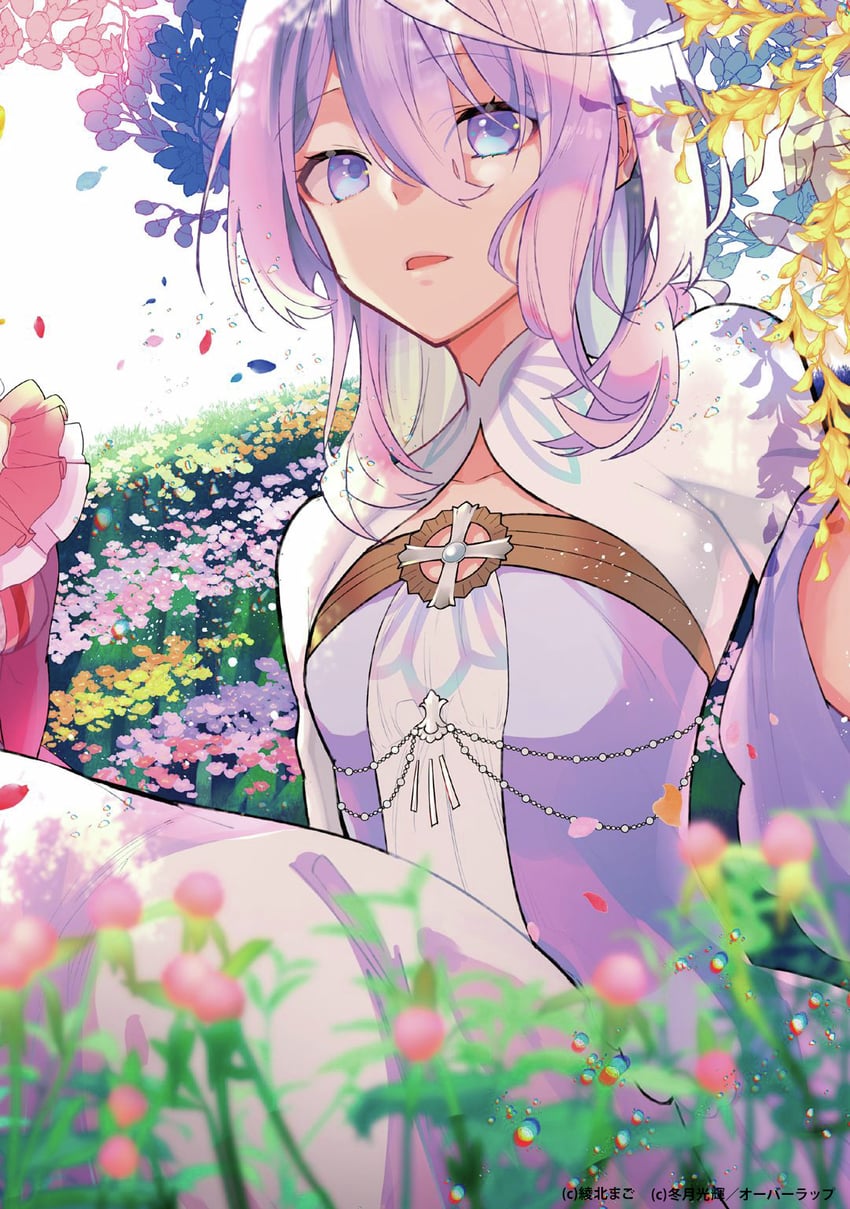 philia adenauer (kanpeki sugite kawaige ga nai to konyaku haki sareta seijo wa ringoku ni urareru)