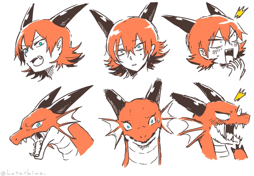 seiyouryuu-san (original) drawn by hotathino