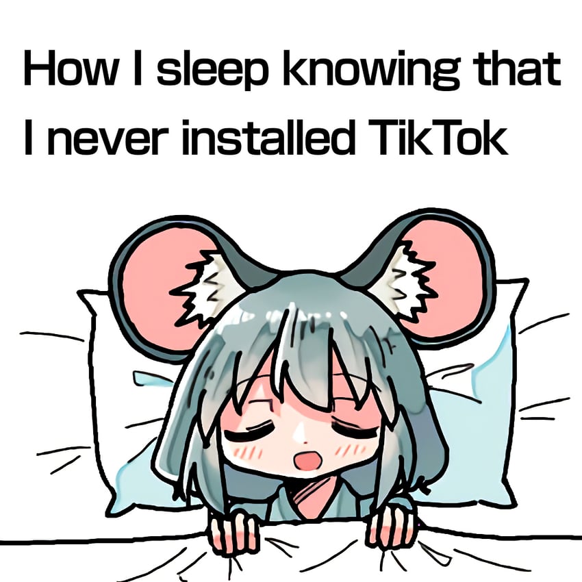 nazrin (touhou and 1 more) drawn by kasuya_baian