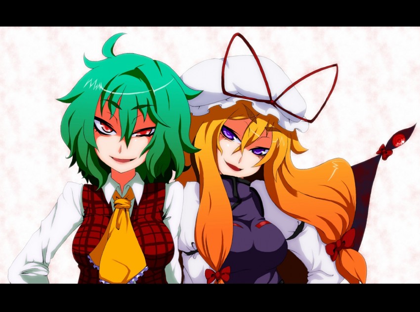 yakumo yukari and kazami yuuka (touhou) drawn by haiiro_gundan