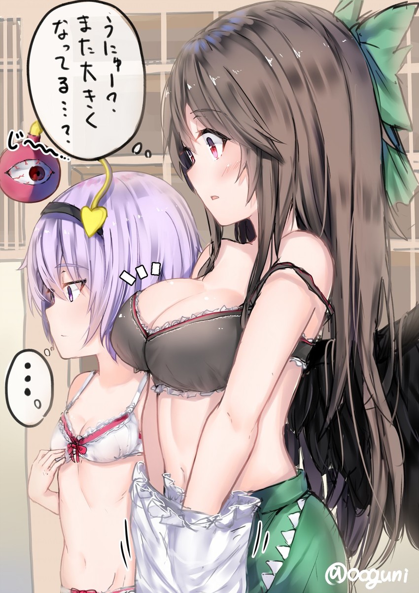 komeiji satori and reiuji utsuho (touhou) drawn by wowoguni