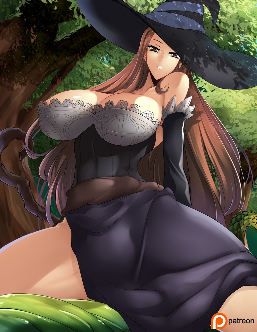 sorceress (dragon's crown) drawn by haganef