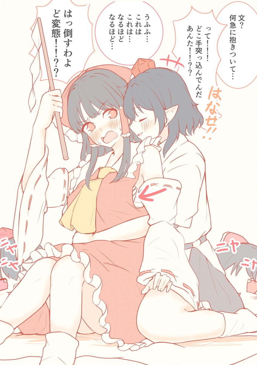hakurei reimu and shameimaru aya (touhou) drawn by seele_(chanseele0128)