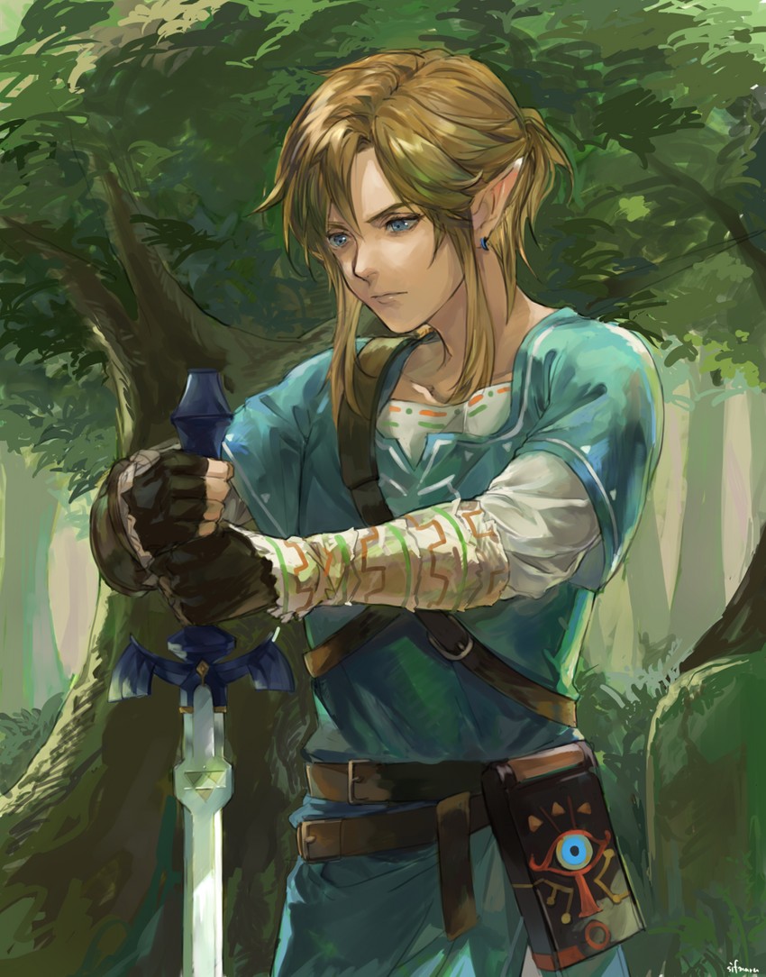 link (the legend of zelda and 1 more) drawn by toroyuri