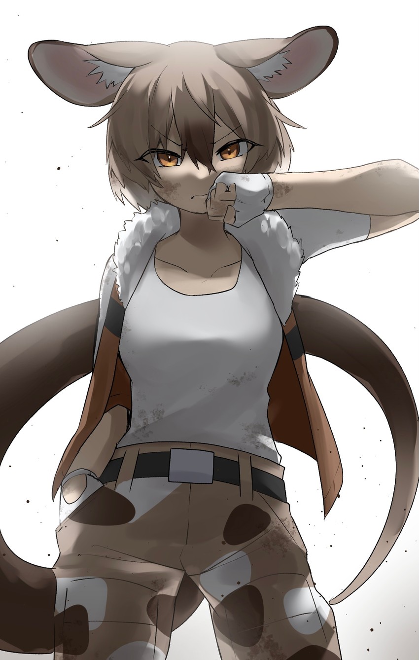 gambian rat (kemono friends and 1 more) drawn by isobee