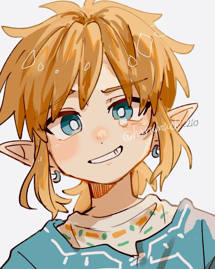 link (the legend of zelda and 1 more) drawn by haru-cho