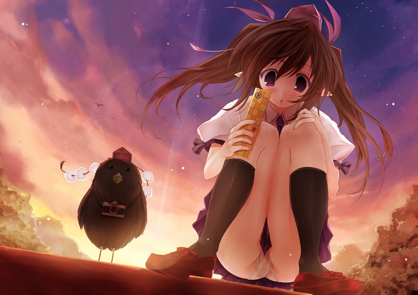 shameimaru aya and himekaidou hatate (touhou) drawn by scarlet_(studioscr)