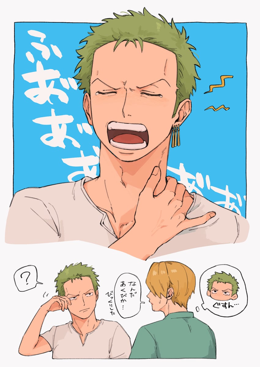roronoa zoro and sanji (one piece) drawn by iqracha
