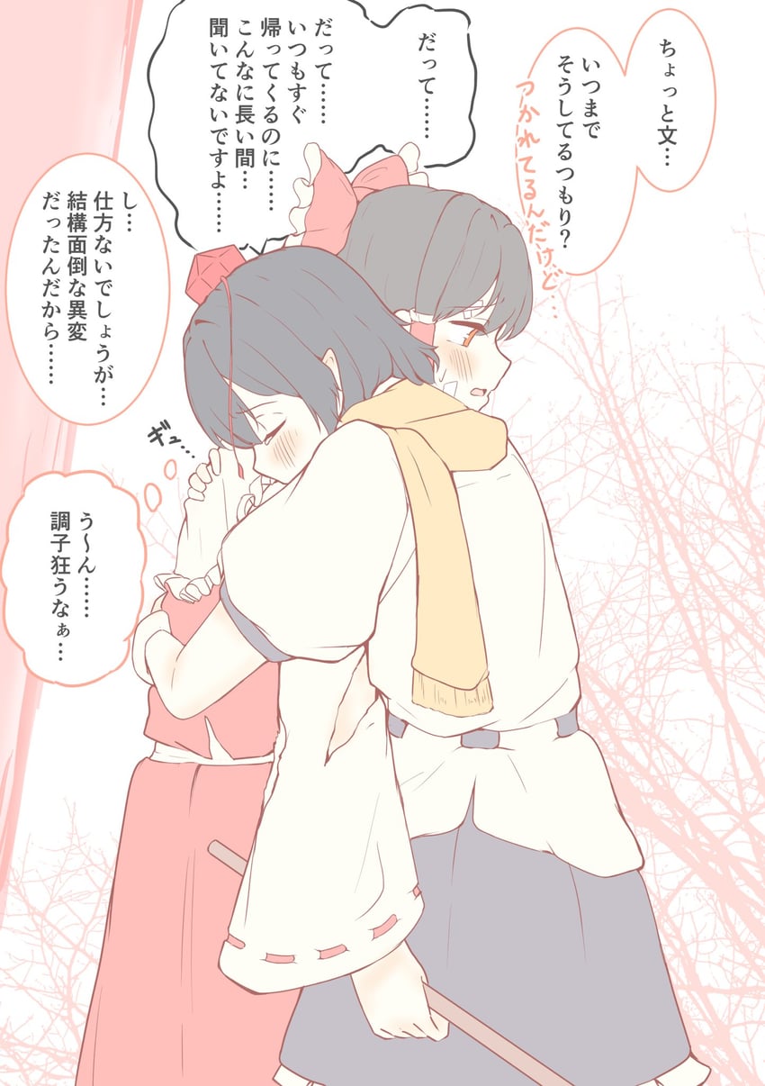 hakurei reimu and shameimaru aya (touhou) drawn by seele_(chanseele0128)