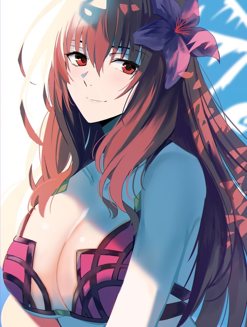 scathach (fate and 1 more) drawn by nicky_w