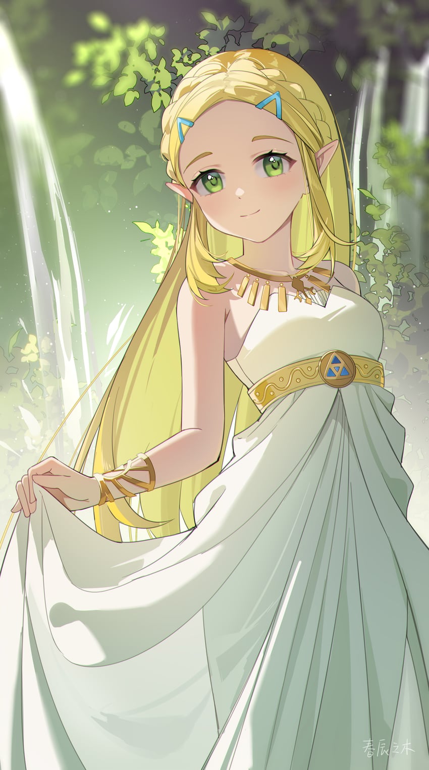 princess zelda (the legend of zelda and 1 more) drawn by harutatsunoki