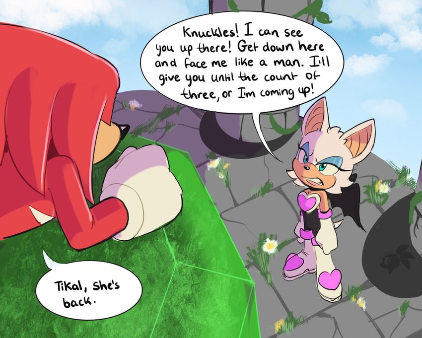 rouge the bat and knuckles the echidna (sonic and 1 more) drawn by qkora01
