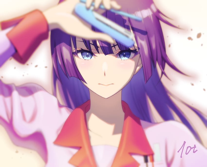 senjougahara hitagi (monogatari and 1 more) drawn by 10ttruck